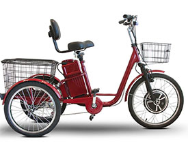 Electric Tricycle and Electric Cargo Trike