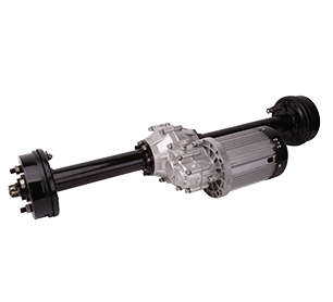 Rear Drive Axle Assembly